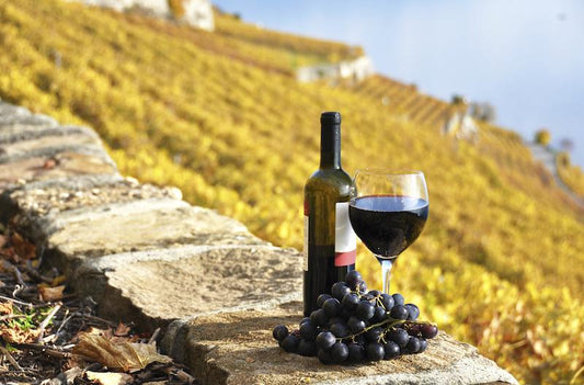 The Super Nutrients of Resveratrol