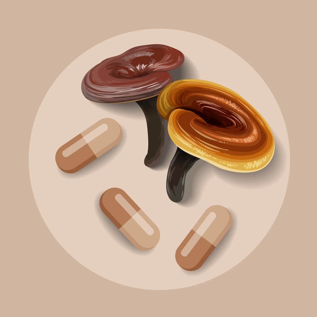 The Medicinal Use of Mushrooms
