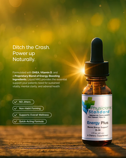 Energy Plus