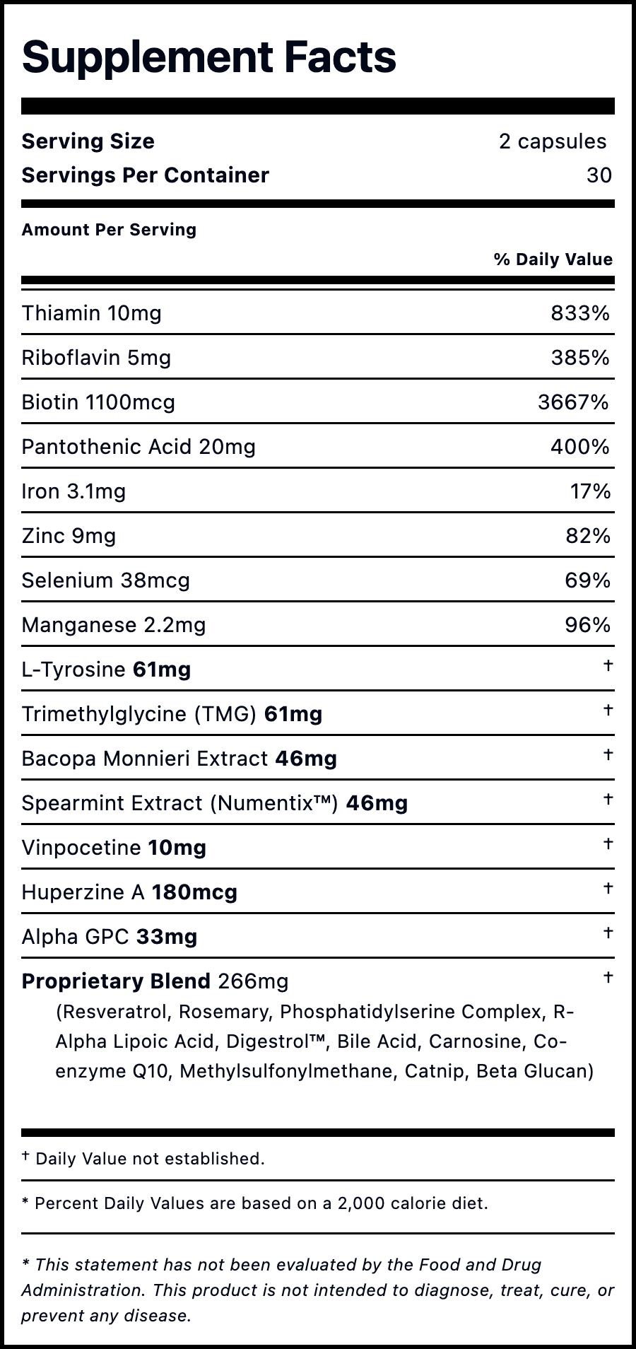NeuroSet